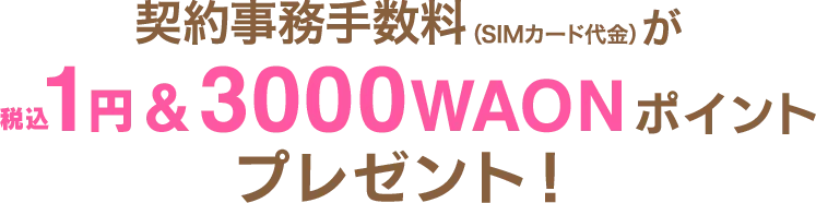 契約事務手数料(SIMカード代金)が税込1円&3000WAONポイントプレゼント!