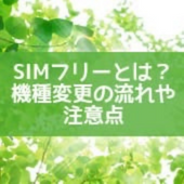 木洩れ日