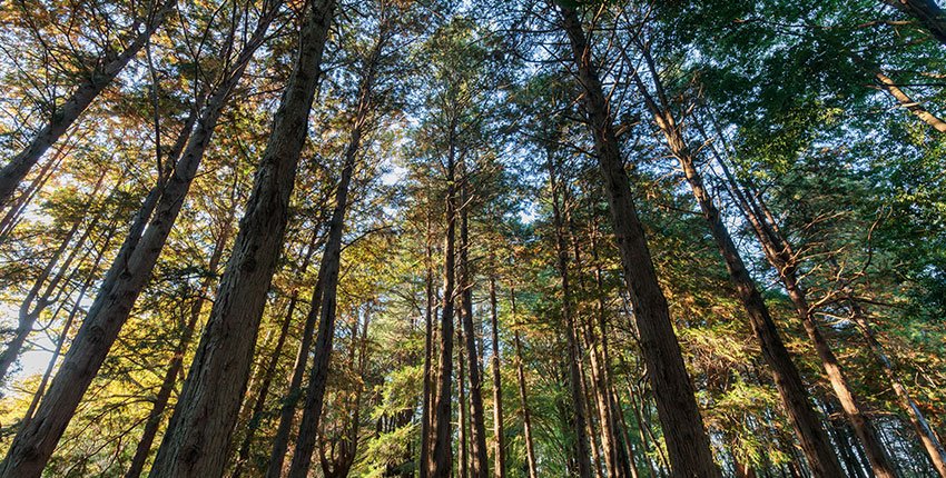 斜光を意識すると立体感をだした、風景写真