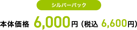 シルバーパック 本体価格 6,000円（税込 6,600円）