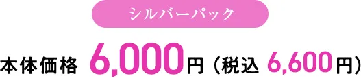 シルバーパック 本体価格 6,000円 （税込 6,600円）
